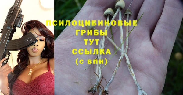 гашик Магас