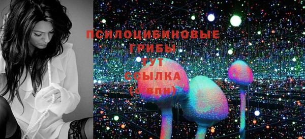 гашик Магас