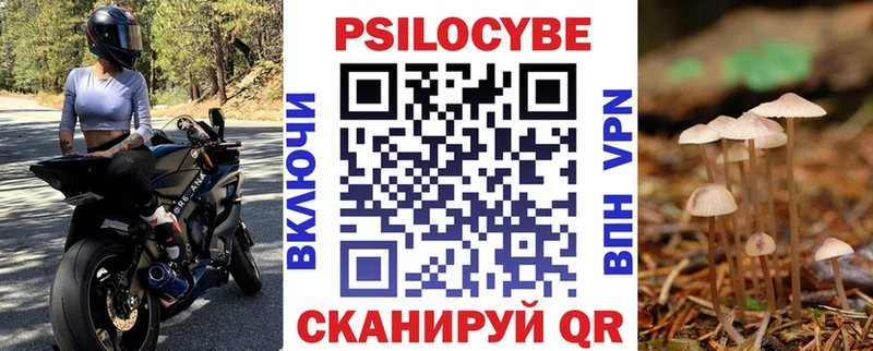 Псилоцибиновые грибы Psilocybine cubensis  Купить  Чита 